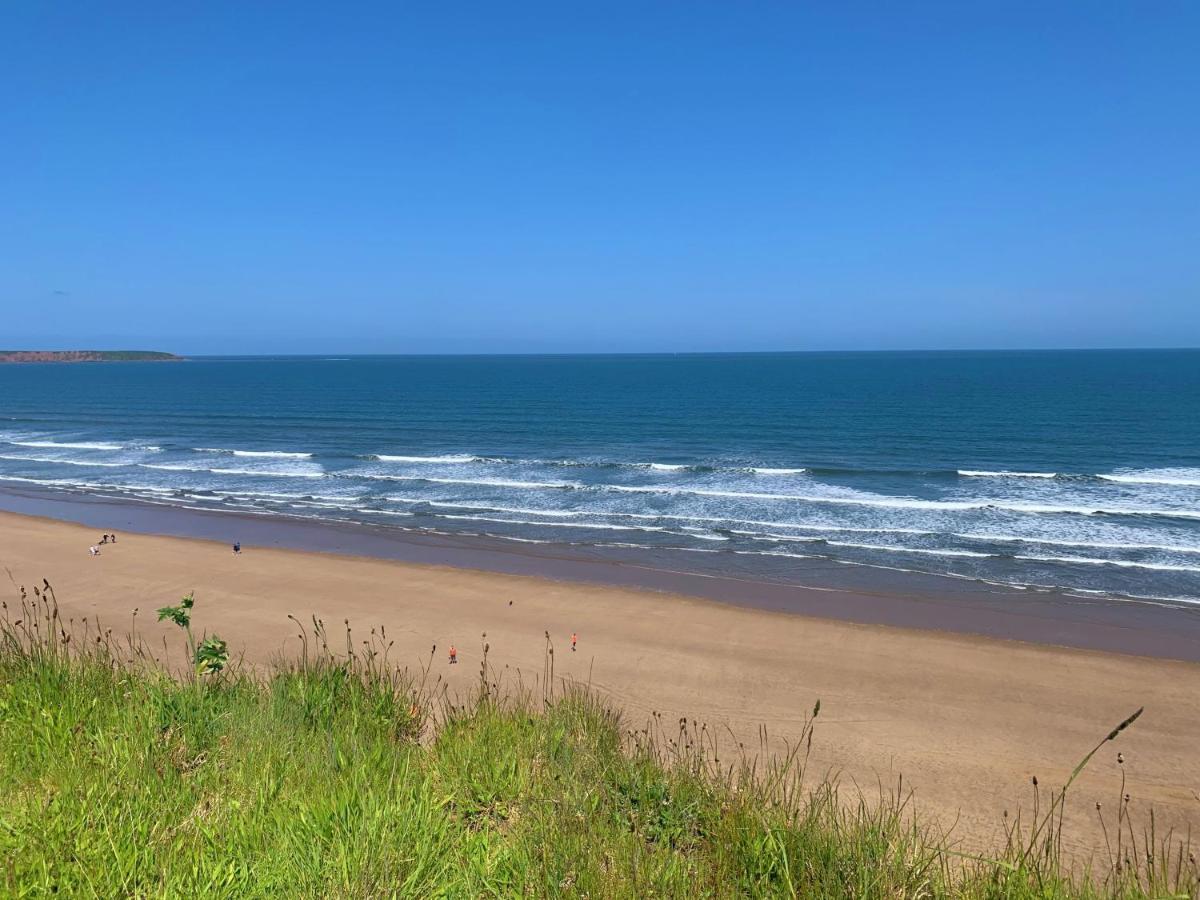 The Blue Anchor At The Bay Filey, Sleeps 4, 2 Dogs Welcome For Free Too Holiday home